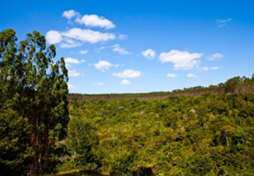 Foto: Ernandes Alcântara